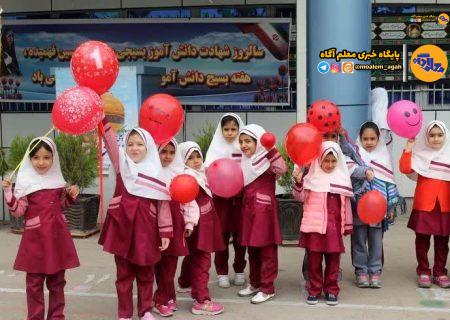 جزئیات تدوین نظام‌نامه بین‌المللی ایران در دوره ابتدایی