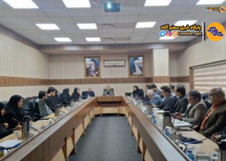 آغاز فعالیت رسمی دبیرخانه کشوری هوش مصنوعی/ تولید ۲۰۰ فیلم آموزشی