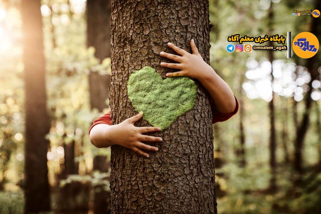 30 بهمن؛ آخرین مهلت ارسال اثر به جشنواره «بنویسیم درخت»