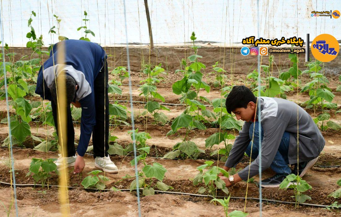 بهروزرسانی 24 رشته تحصیلی شاخه فنیوحرفهای
