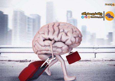 ایران در مسیر از دست دادن استعداد‌های طلایی+ فیلم